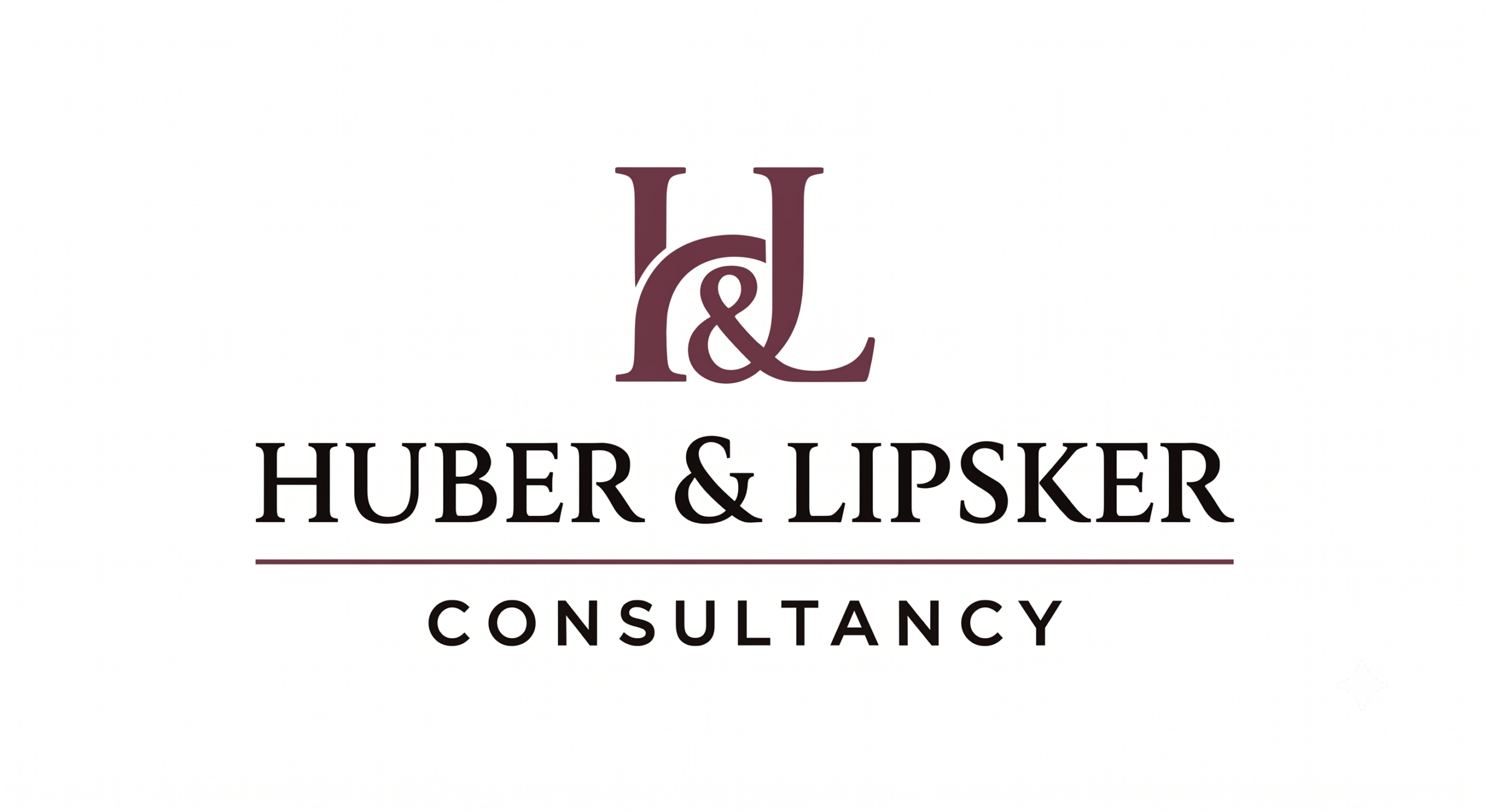 Huber & Lipsker Consultancy